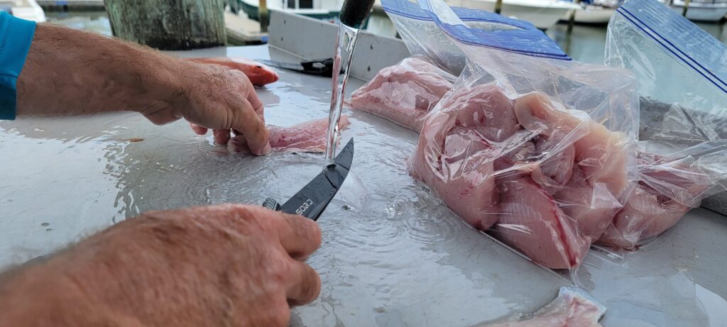 Captain Ricky Poupore of SeaCo Fishing Charters bagging up some of the freshly fileted fish with his Sord Filet Knife for his charter guests from an offshore fishing charter out of St. Augustine, Florida