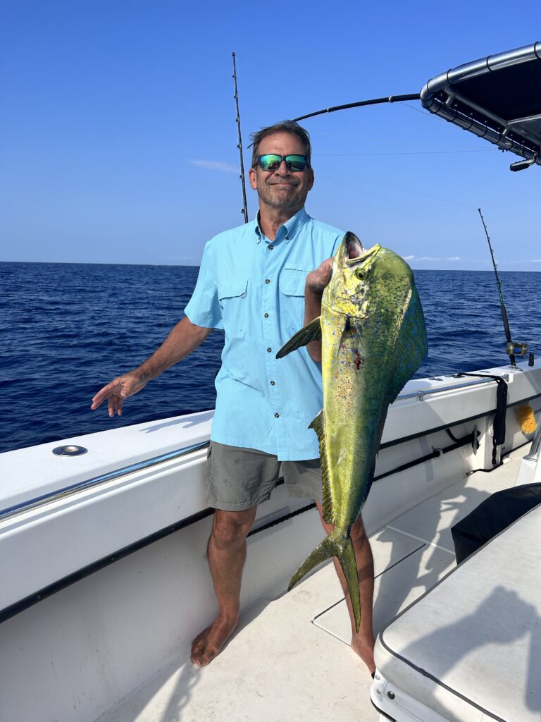 Charter guest enjoying some of the best mahi fishing in St. Augustine is holding a mahi-mahi with SeaCo Fishing Charters aboard the Rock Bottom