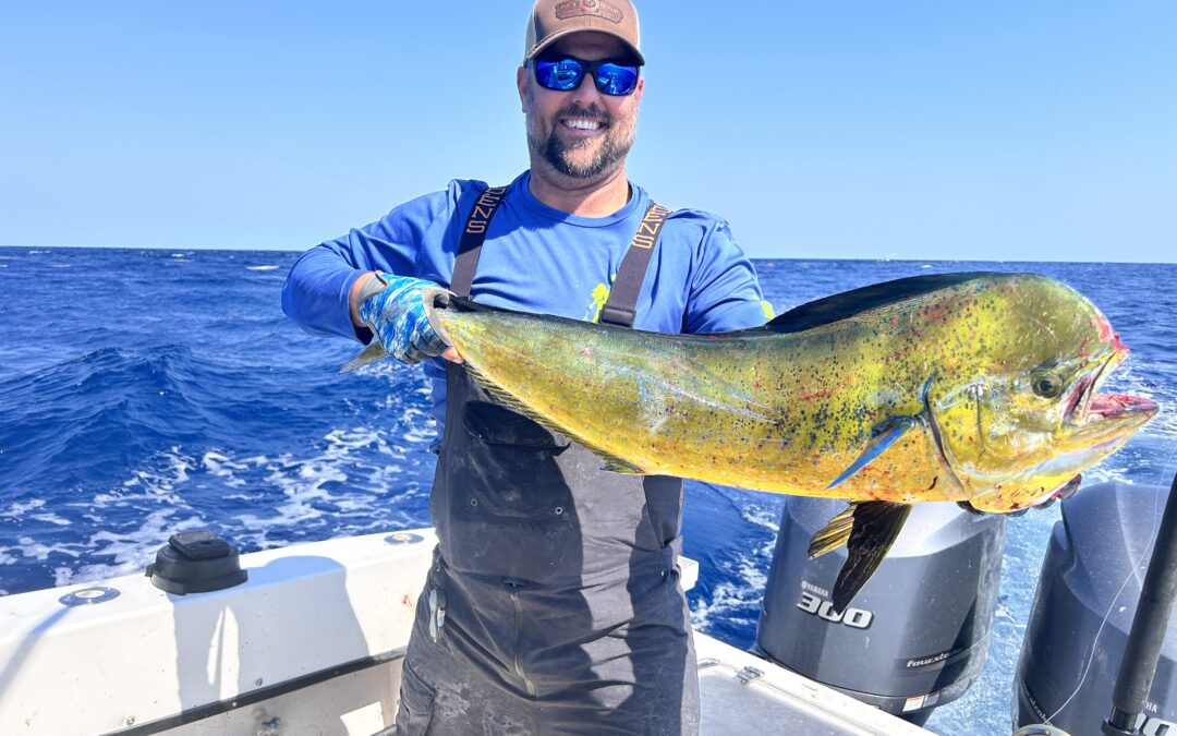 Mahi Mahi Season Is On! Best Offshore Fishing St. Augustine