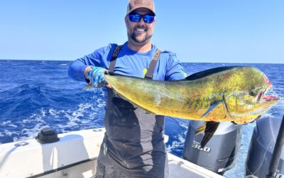 Mahi Mahi Season Is On! Best Offshore Fishing St. Augustine