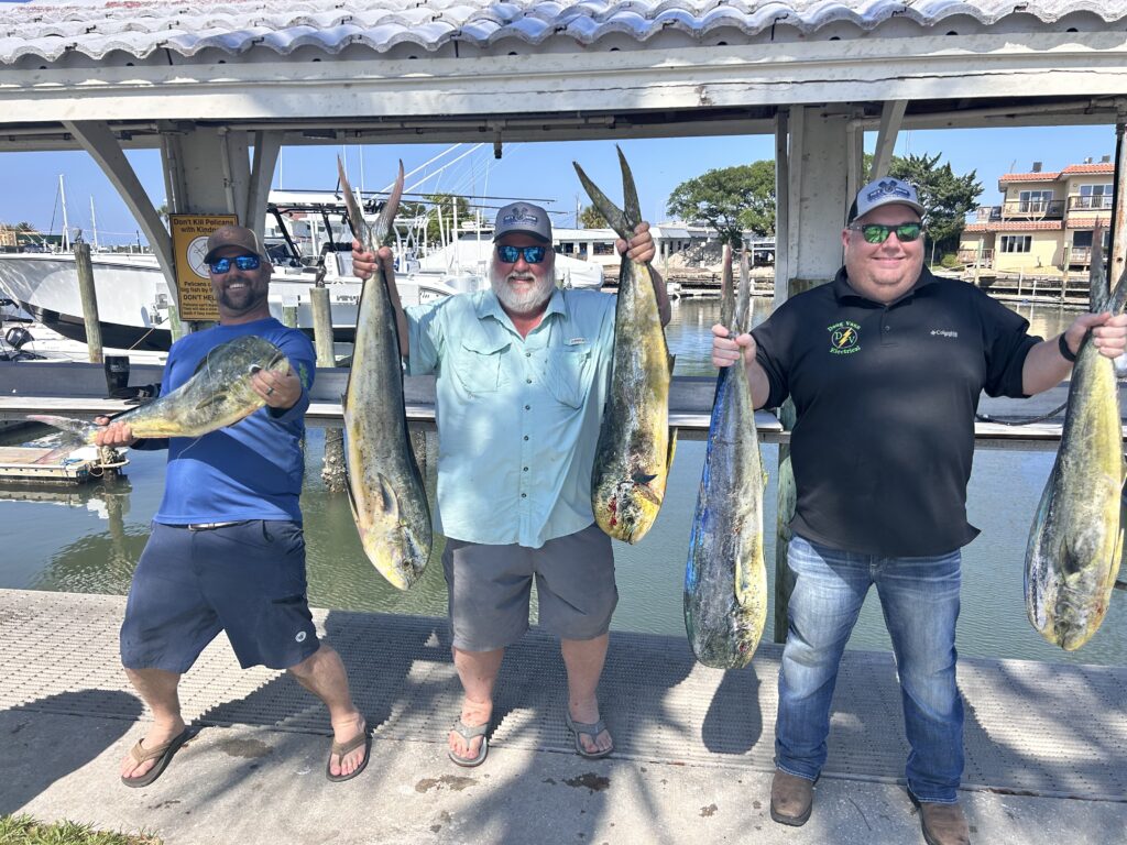 A group of men show off several Mahi they caught during a deep sea fishing trip with Captain Ricky Poupore or SeaCo Fishing Charters in St. Augustine, Florida