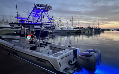 Welcome to SeaCo Fishing Charters!